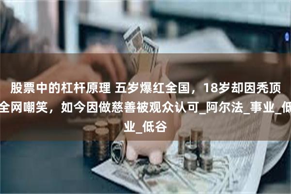 股票中的杠杆原理 五岁爆红全国，18岁却因秃顶被全网嘲笑，如今因做慈善被观众认可_阿尔法_事业_低谷