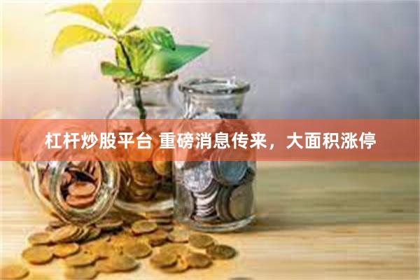 杠杆炒股平台 重磅消息传来，大面积涨停
