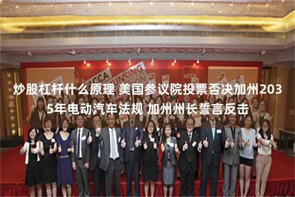 炒股杠杆什么原理 美国参议院投票否决加州2035年电动汽车法规 加州州长誓言反击