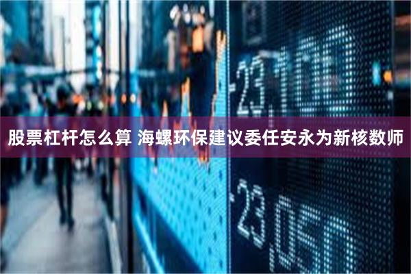 股票杠杆怎么算 海螺环保建议委任安永为新核数师