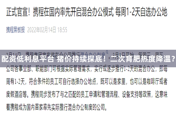 配资低利息平台 猪价持续探底！二次育肥热度降温？