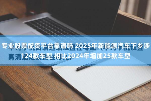 专业股票配资平台靠谱吗 2025年新能源汽车下乡涉124款车型 相比2024年增加25款车型