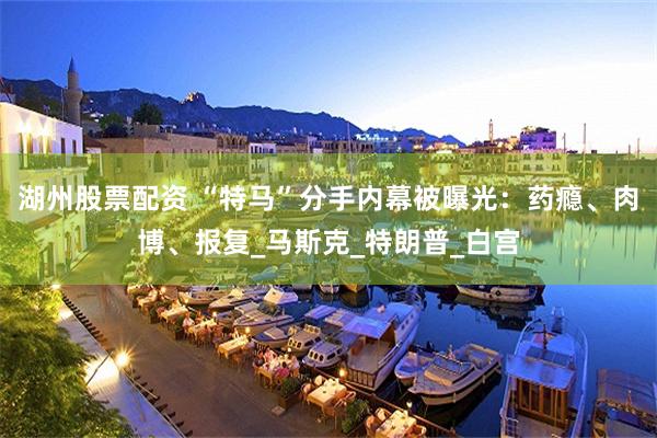 湖州股票配资 “特马”分手内幕被曝光：药瘾、肉博、报复_马斯克_特朗普_白宫