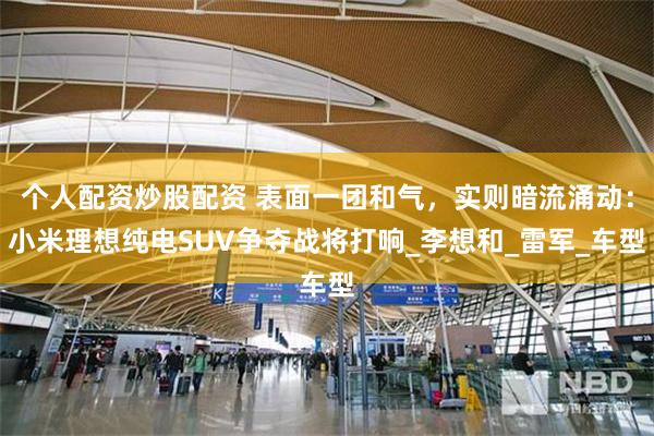 个人配资炒股配资 表面一团和气，实则暗流涌动：小米理想纯电SUV争夺战将打响_李想和_雷军_车型