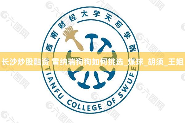 长沙炒股融资 雪纳瑞狗狗如何挑选_煤球_胡须_王姐
