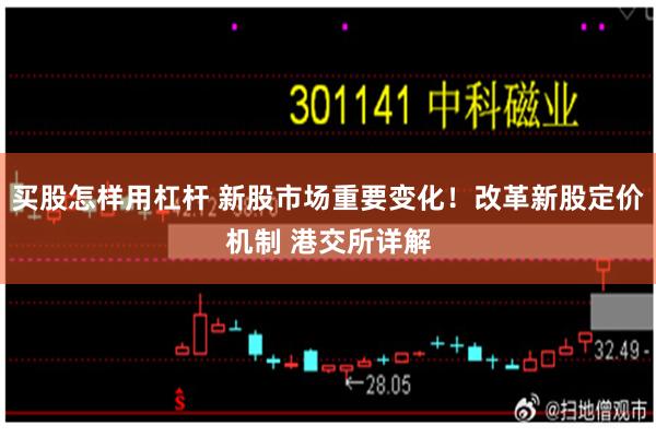 买股怎样用杠杆 新股市场重要变化！改革新股定价机制 港交所详解