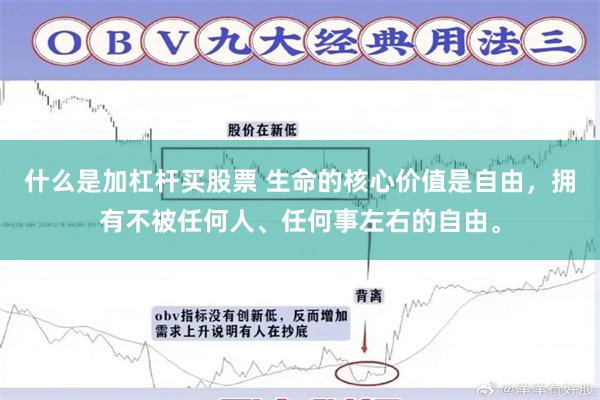 什么是加杠杆买股票 生命的核心价值是自由，拥有不被任何人、任何事左右的自由。