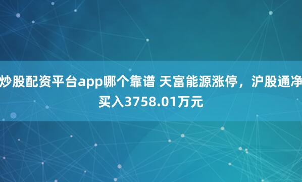 炒股配资平台app哪个靠谱 天富能源涨停，沪股通净买入3758.01万元
